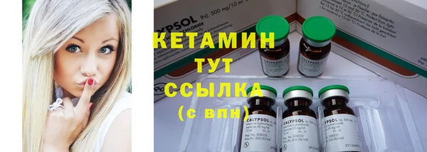 трава Сатка