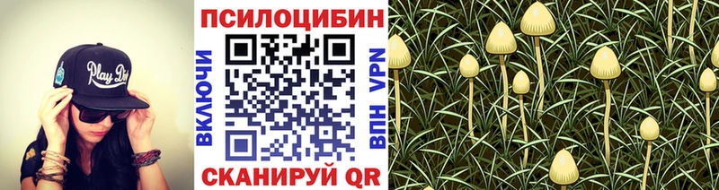 Галлюциногенные грибы прущие грибы  Кубинка 